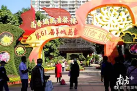 秋日之约！羊城菊会3万余盆菊花将于文化公园盛放图片