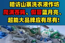 你买的洗衣液可能3毛钱1斤！暗访山寨洗衣液作坊爬满苍蝇图片