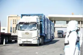 齐了！3万只蒙古国捐赠羊全部入境图片
