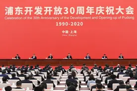 三十年相册！打开浦东的“成长记忆”图片