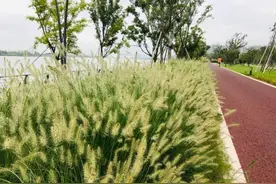 宁波4条绿道，浙江最美！你去过吗？图片