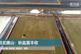 河北唐山：秋盐喜丰收视频封面