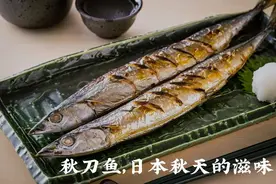 快被日本人吃到灭绝的秋刀鱼，有多好吃图片