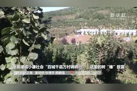 全面建成小康社会“百城千县万村调研行”｜这里的树“榛”致富视频封面