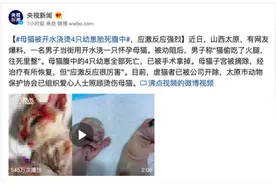 “N号房”再现！施虐者不乏未成年人，还“欢迎人肉”……图片