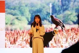 乌龟、水獭和城隍：自然人类学视野下的环保与中华宇宙观图片