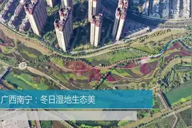 广西南宁：冬日湿地生态美视频封面