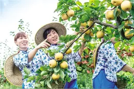 擂响催阵鼓 啃下硬骨头——涟源市决战决胜脱贫攻坚综述图片