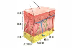 干干干！痒痒痒！一到秋冬，皮肤就出问题？别挠了，记住这6招，包你水润润图片