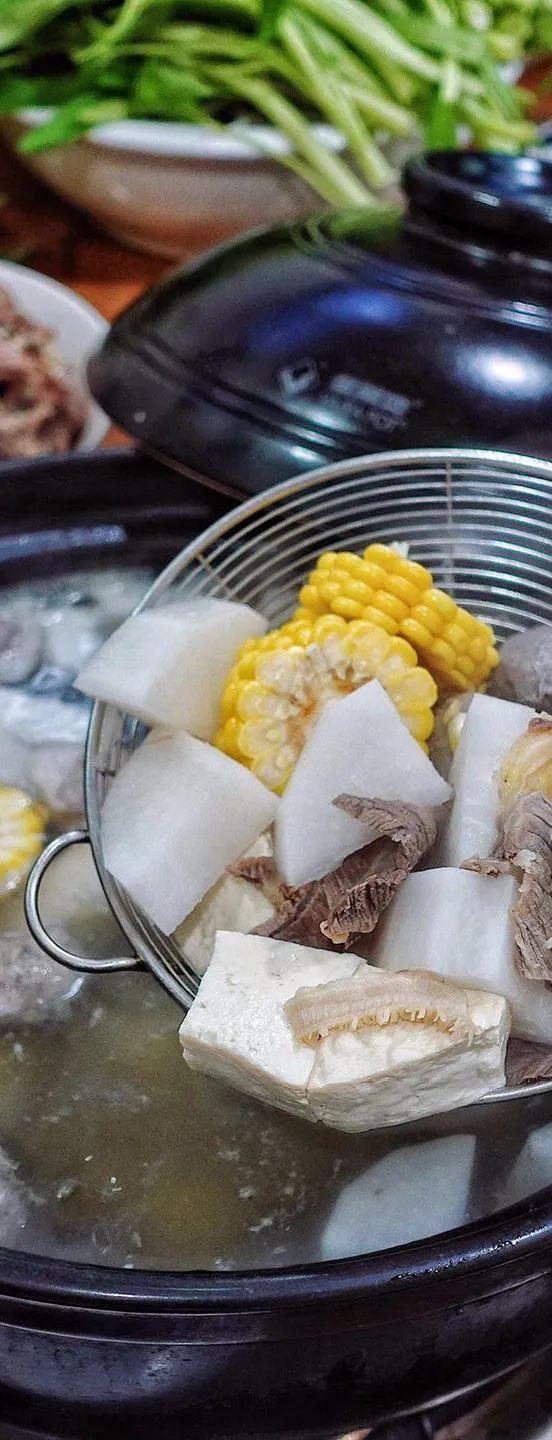 鱼翅海参花胶鸡怎样煲汤 2026年鱼翅花胶海参鸡汤的做法