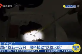 探秘广州“蚊子工厂”：每周产蚊五千万只，黑科技助“以蚊灭蚊”