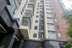 深圳一小区惊现高空坠猫 小猫不幸坠亡疑人为所致图片