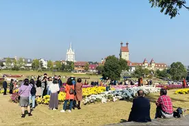 「共舞长江经济带·看高质量发展」武汉花博汇：昔日小村庄“变身”特色文旅小镇图片