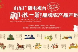 聊·胜一筹！｜1200亩蔬菜大棚引进新技术 废弃瓜菜秧不再“令人头疼”图片