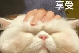 冬天的幸福感是它给的，被窝里像藏了暖宝宝，舒服到不想起床图片