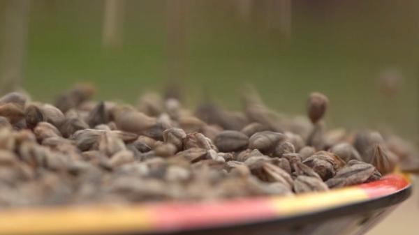 坨坨肉、松茸鸡汤、苦荞面包……谁才是这个地方美食界的NO.1？