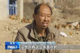 一开口就是播音腔 守山大叔朗诵《再别康桥》受关注图片