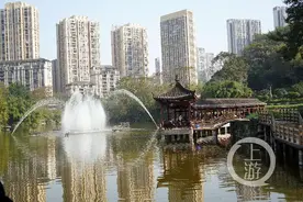 “发现重庆之美”最美公园获奖项目后续报道——龙头寺公园 老少皆爱的好地方图片