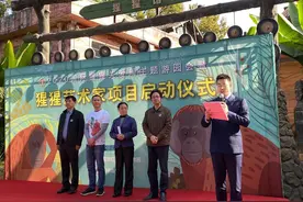 南京红山动物园举办2020猩猩关爱周系列活动图片