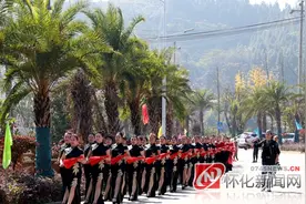 洪江区：茅头园3A级星空庄园景点飞进“黑天鹅”图片