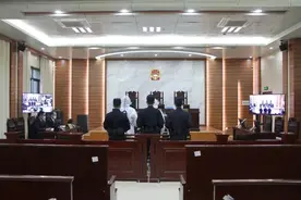 致1708头未检疫生猪入市，广西一畜牧站站长被控徇私舞弊图片
