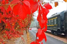 这项保养，只有一部分火车能享受到图片