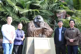 视频｜“猩猩艺术家”项目启动，助力猩猩保护 红山动物园周末还有妙趣横生的“猩猩关爱周”游园会图片
