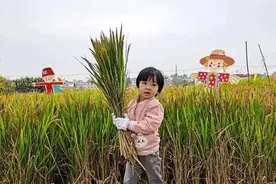 这6个人气爆棚的余杭亲子游打卡地，现在去刚刚好！图片