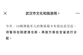 羊羊羊终于到武汉了！这趟“中国行”历程笔记来了图片