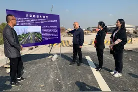 浙江接轨上海，“桥头堡”是这样打造的图片