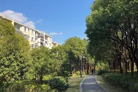 入住10多年没盼到一条健身步道？浦江镇大居居民想要“15分钟健身圈”图片