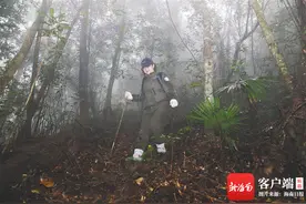 聚焦海南长臂猿大调查·寻猿日记丨只闻猿声 难见猿身图片