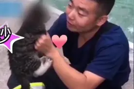 消防员为流浪猫唱歌，猫咪回应“妙”视频封面