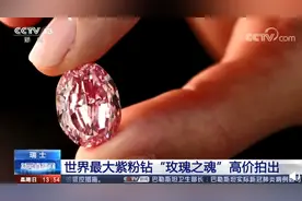 世界最大紫粉钻石卖出1.76亿元，样子曝光！网友：越稀有越珍贵图片