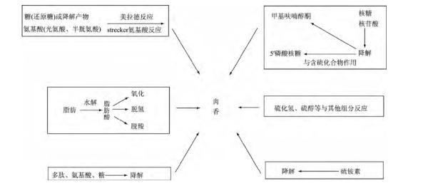 我们为何如此热爱吃肉？嘴：不都是我的锅，你问问大脑