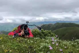 网事 | 植物学达人：有“网感”的科普文，是这样写出来的图片
