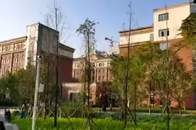 精彩直播课：一同来了解重庆八中的校园生活图片