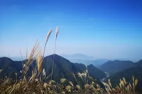 又虐又爽！杭州这14公里，走了5个多小时，一路都是好景色图片