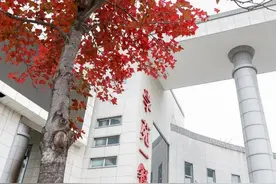 驻马店6所学校食堂抽检不合格 黄淮学院、正阳一高、上蔡中学等上“黑榜”图片