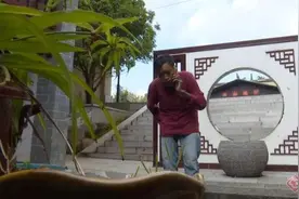 云南文山致富达人杨正跃：身残志坚走出致富路图片