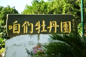 牡丹花“痴”——刘华图片