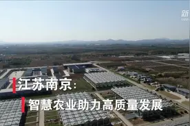 江苏南京：智慧农业助力高质量发展视频封面