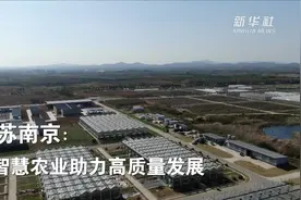 江苏南京：智慧农业助力高质量发展视频封面
