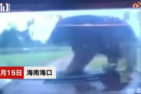 后怕！黑熊爬上游客车辆吓哭小孩，玻璃被压裂，网友：这要是破了难以想象图片