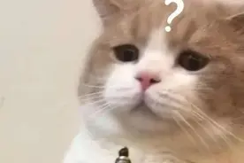 太突然！南昌一培训机构关门停业图片