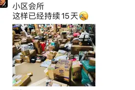 快递堆成山！男业主傻眼！女生运快递有多拼，萌娃吐真相：我妈就有119单图片