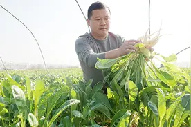 湘潭县：大力推动“禁食野生动物”“退”出一条致富路图片