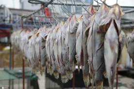 江苏淮安：又到一年晒鱼时图片