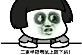 老鼠半夜在头顶开“运动会”！上海市中心高档小区鼠患两月仍无解图片