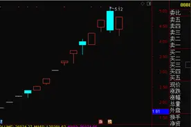 15天12板！游资击鼓传花，智慧农业大涨220%图片